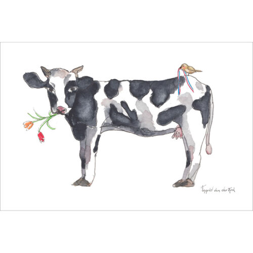 Stuur deze leuke ansichtkaart met koe uit Holland naar iemand die van koeien houdt of gebruik het bijvoorbeeld voor postcrossing.