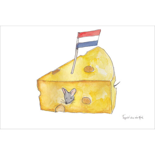 Het stukje kaas uit Holland op deze ansichtkaart gaat er altijd wel in! Dit muisje weet er ook wel raad mee. Leuk voor postcrossing.