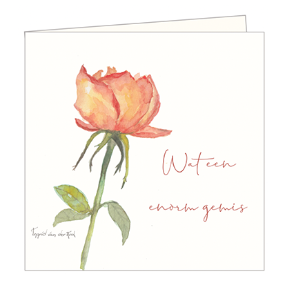 Deze dubbele wenskaart met roos doet het als condoleancekaart altijd goed en zeker met de tekst "Wat een enorm gemis".
